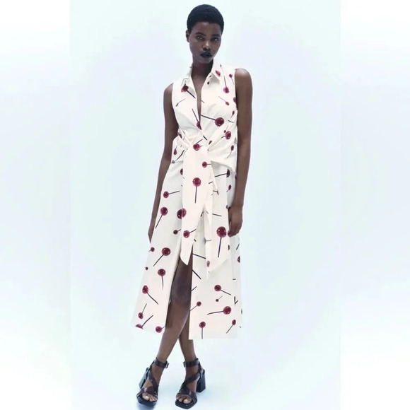 ZARA PRINTED POPLIN SHIRTDRESS ZW COLLECTION - Picture 1 of 13